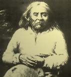sealth.jpg