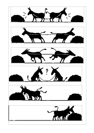 Dos burros